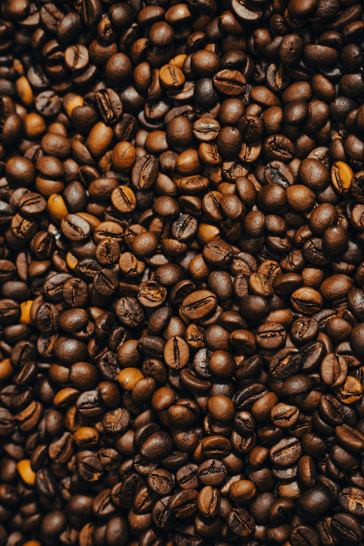 A Jornada do Grão ao Café Perfeito