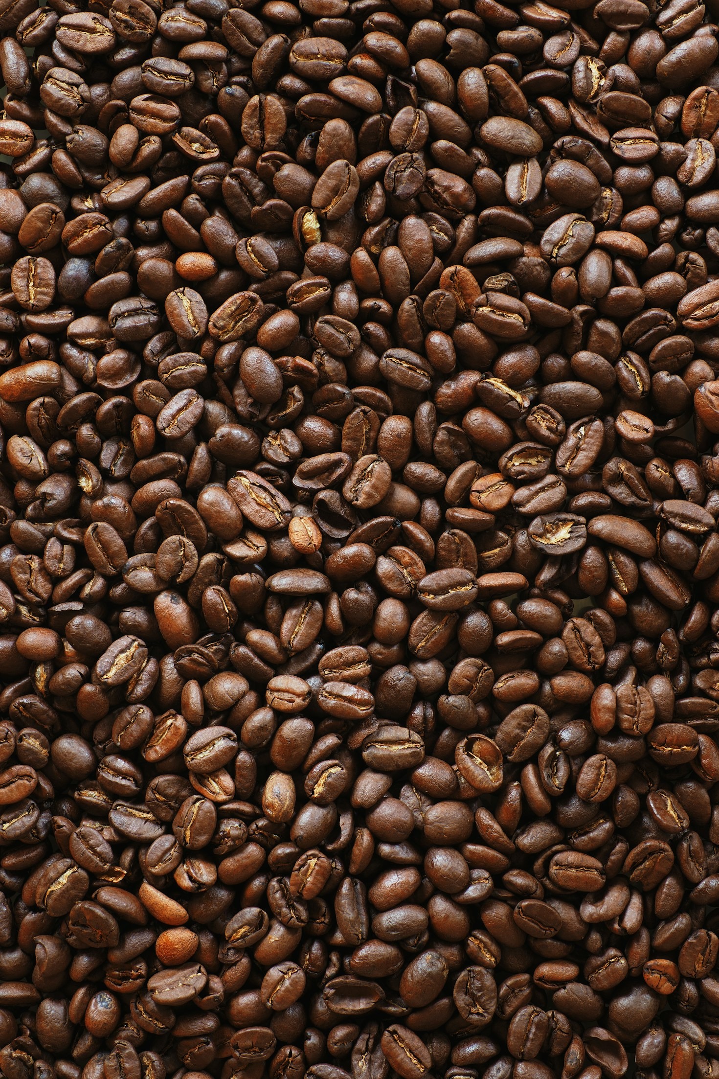 Guia Completo dos Acessórios para Cafés Especiais